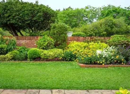 landscaping services Cape Carteret